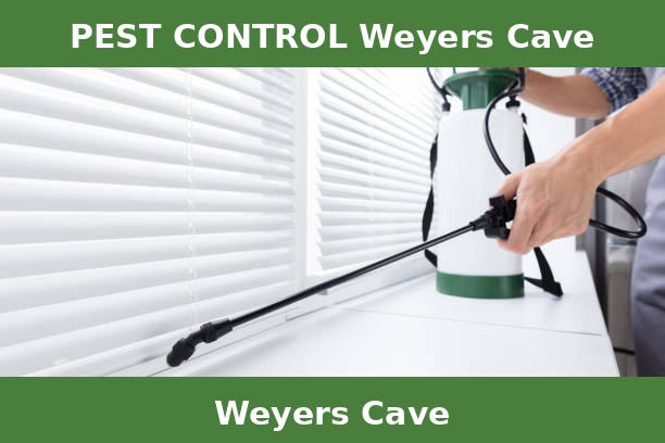 PEST CONTROL Weyers Cave